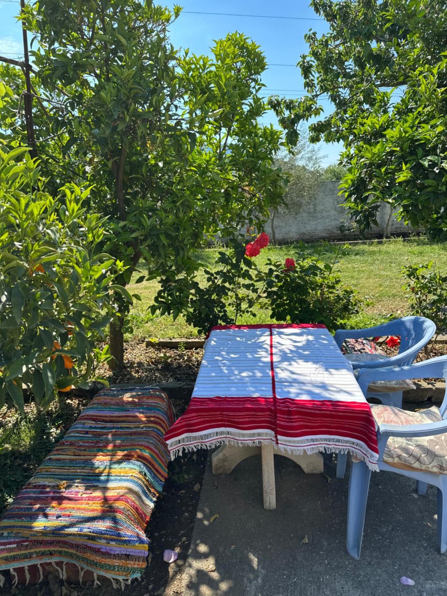 Villa Zefi Rrenc Shkodër Extérieur photo